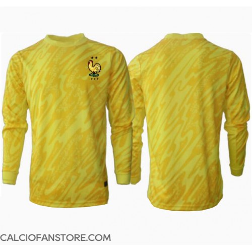 Maglia Calcio Francia Portiere Prima Divisa Europei 2024 Manica Lunga